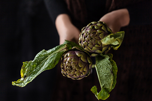 hands holding two artichokes