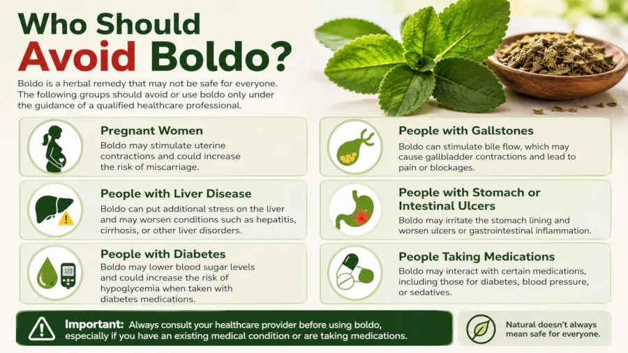 Checklist of people who should avoid boldo, including pregnancy, gallstones, and liver disease