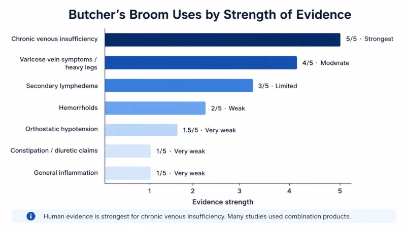 Chart ranking butcher's broom uses by strength of evidence, with chronic venous insufficiency strongest.