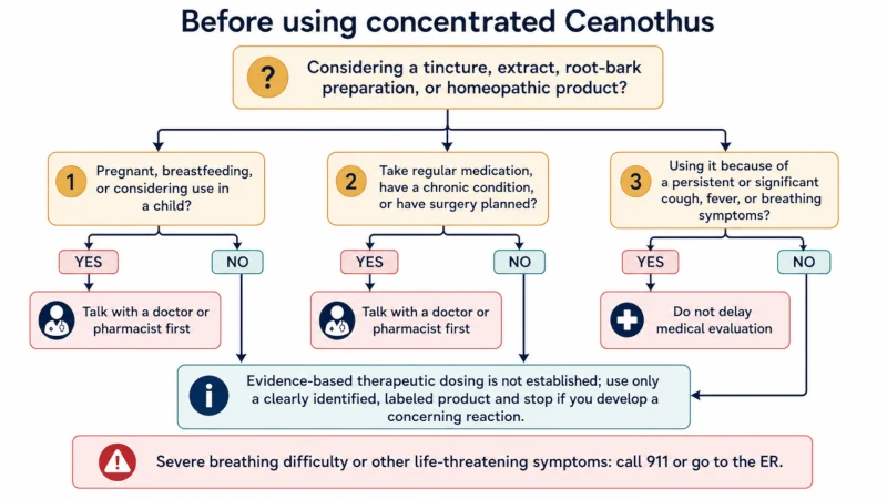 Decision guide for when to ask a doctor or pharmacist before using concentrated Ceanothus americanus products and when respiratory symptoms need urgent care.