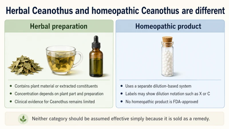 Side-by-side comparison of herbal Ceanothus preparations and highly diluted homeopathic Ceanothus products.