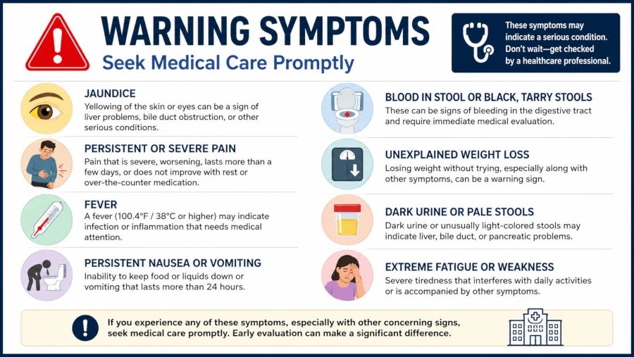 List of warning symptoms such as jaundice and persistent pain that require medical care.
