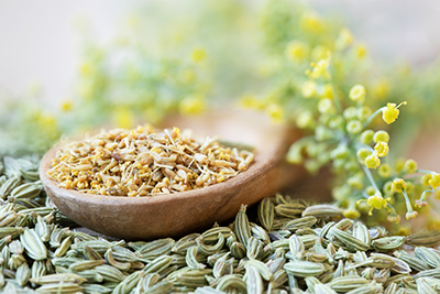 fennel seeds in a wooden spoon