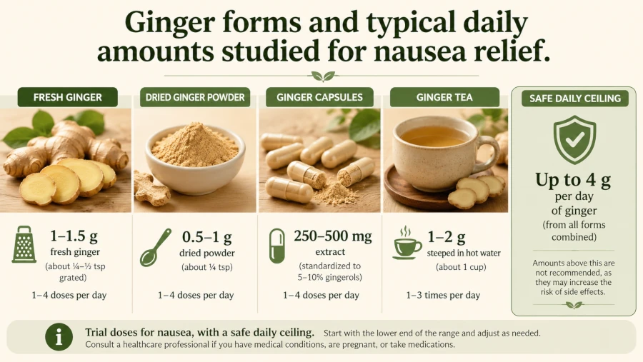 Ginger forms and typical daily amounts studied for nausea relief.