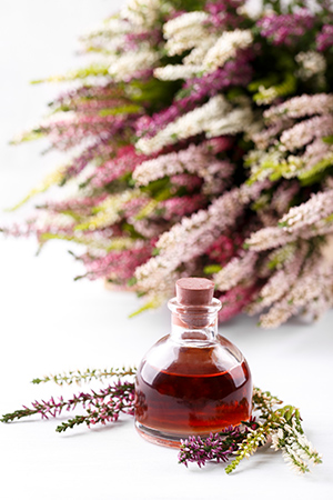 heather plant and bottle of essential oil