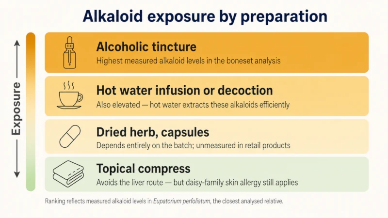 Comparison of four hemp agrimony preparations ranked by pyrrolizidine alkaloid exposure, from alcoholic tincture highest to topical compress lowest.