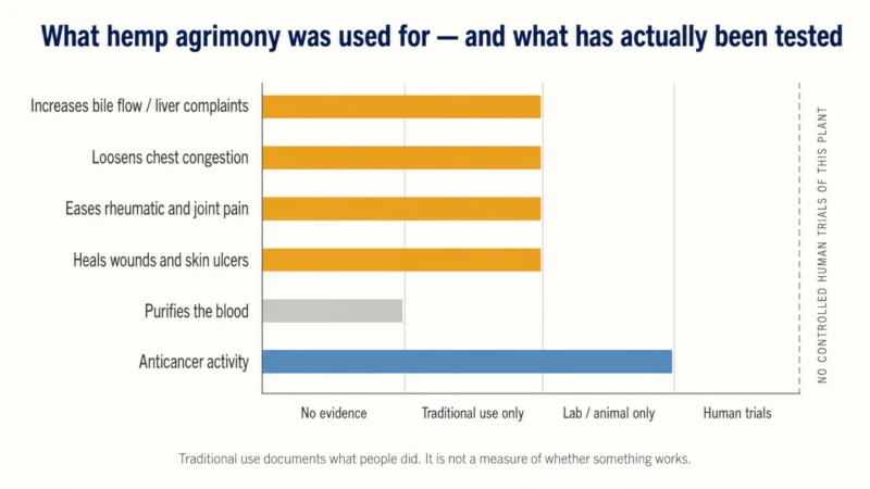 Chart rating six traditional hemp agrimony claims, all at traditional-use-only or laboratory-only evidence, none supported by human trials.
