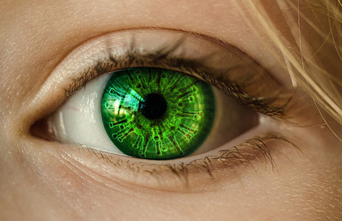 image of a single green eye