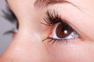 Best Herbs for Eye Health 1