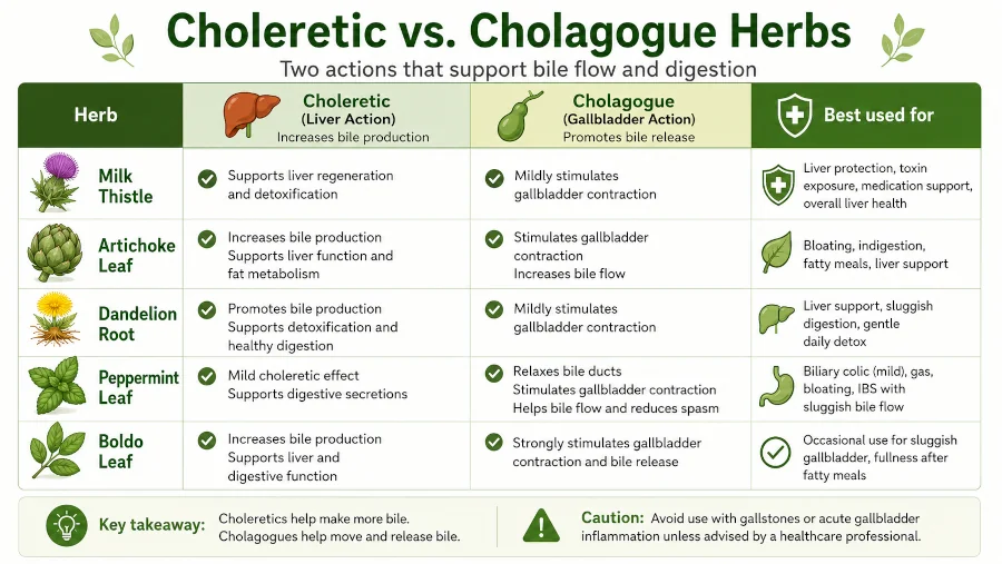 Comparison chart of choleretic and cholagogue herbs for the gallbladder and liver, including milk thistle, artichoke, dandelion, peppermint, and boldo.