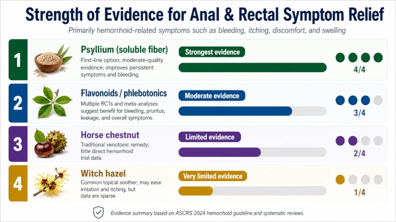 Chart ranking psyllium, flavonoids, horse chestnut, and witch hazel by strength of evidence for anal and rectal symptoms.