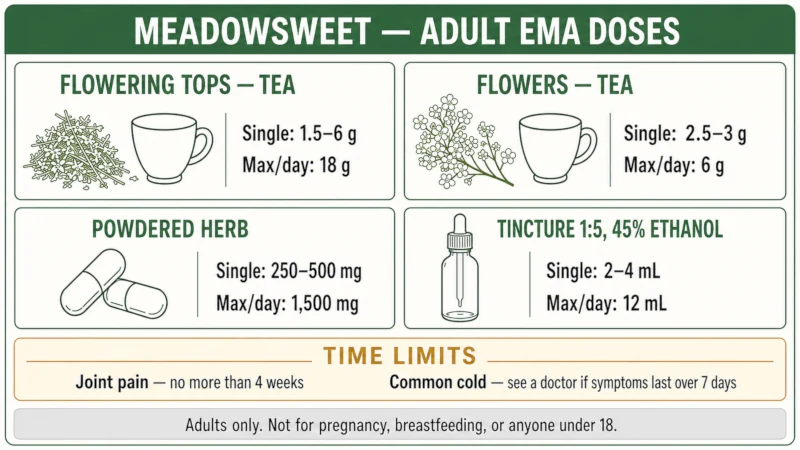Adult meadowsweet dose reference showing tea, capsule and tincture amounts plus four-week and seven-day duration limits.