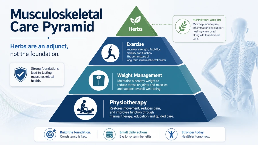 Pyramid showing exercise, weight management, and physiotherapy as the base of musculoskeletal care with herbs as an add-on