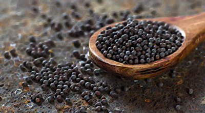 black mustard seeds