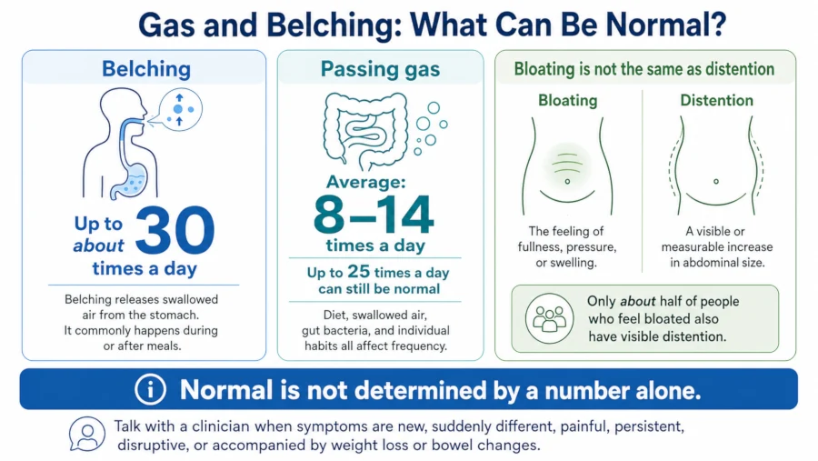 Chart showing typical daily belching and gas-passing ranges for adults