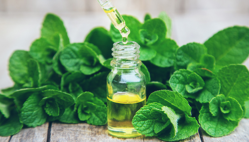 peppermint benefits with leaves and essential oil