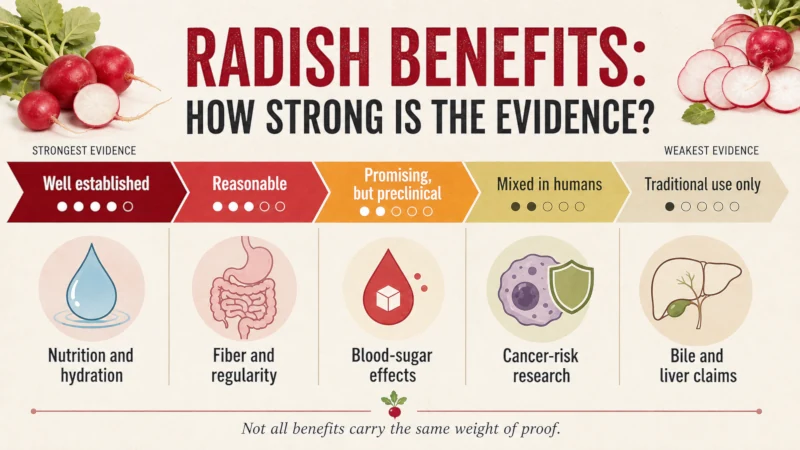 Scale grading radish health benefits from well established to traditional use only.