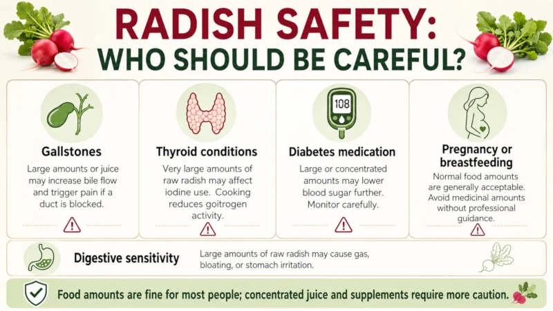 Table of who should be cautious with radish: gallstones, thyroid, diabetes medication, pregnancy.