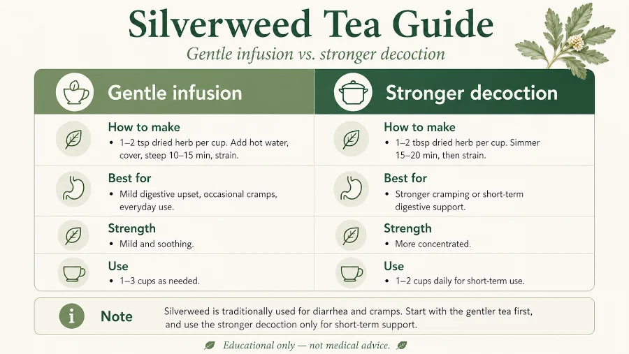 Silverweed tea guide comparing a gentle infusion and a stronger decoction with their uses.