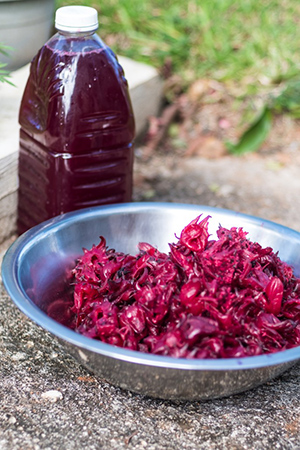 sorrel health benefits with leaves in a bowl with a bottle of sorrel juice next to it
