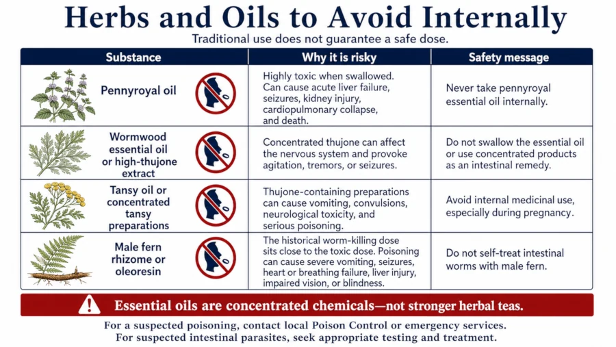 Table pairing pennyroyal oil, wormwood, tansy and male fern with their documented risks