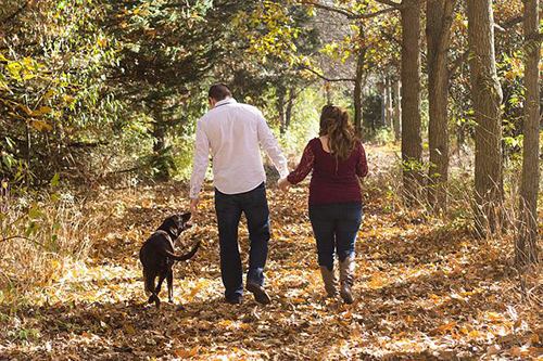 husband and wife with dog walking away from the camera in a forest surrounding