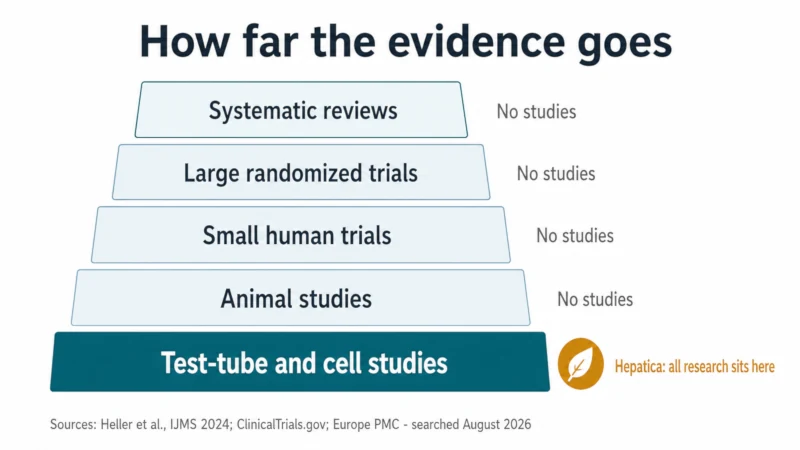 Evidence ladder showing five rungs from test-tube studies to systematic reviews, with hepatica research marked only on the lowest rung