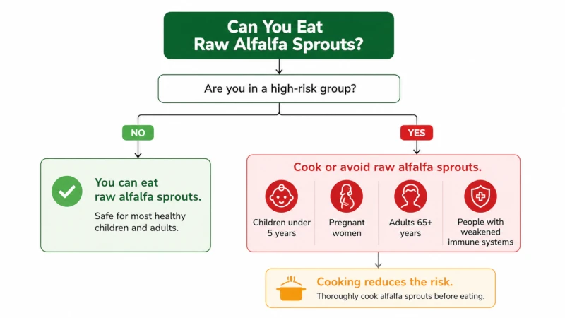: Decision tree showing who can eat raw alfalfa sprouts and who should cook or avoid them.