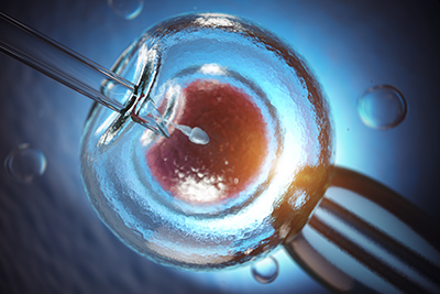 needle inserting sperm into egg for artificial insemination