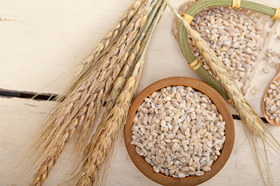 bowl of barley grains next to barley grass