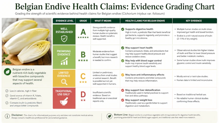 Chart grading Belgian endive health claims from well established to traditional use only.