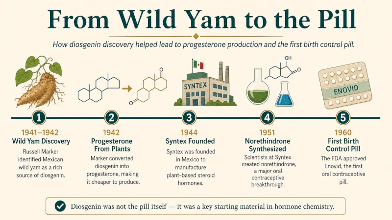 Timeline showing the 1940s discovery of diosgenin in wild yam and its use in creating progesterone and the first birth control pill.