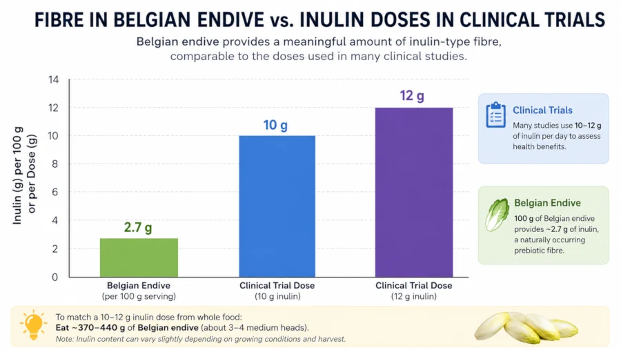 Bar chart comparing fibre in a 100 gram serving of Belgian endive with the 10 to 12 gram inulin doses used in clinical trials