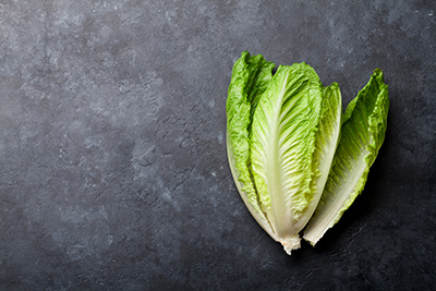 stalk of romaine lettuce