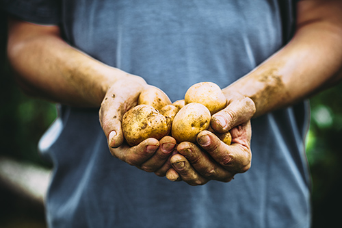 health benefits of potatoes