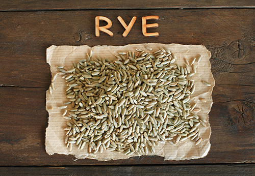 Health Benefits of Rye