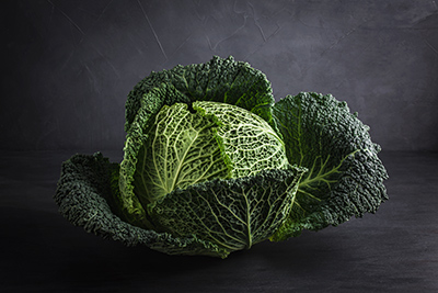 savoy cabbage