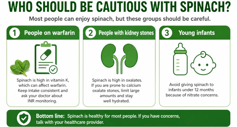 Infographic listing who should be cautious with spinach: people on warfarin, those with kidney stones, and young infants.