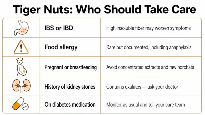 Summary table of tiger nut cautions covering digestive side effects, allergy risk, pregnancy, kidney stones, and diabetes medication