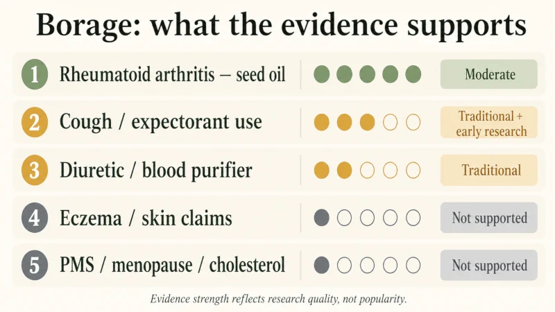 Evidence chart showing moderate support for borage seed oil in rheumatoid arthritis and weaker evidence for other borage health claims.