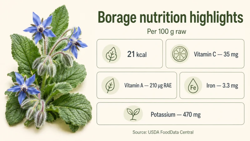 Borage nutrition infographic highlighting vitamin C, vitamin A, iron, potassium, and 21 calories per 100 grams.
