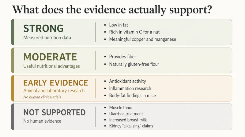 Four-level infographic showing the strength of evidence behind different claimed chestnut health benefits.