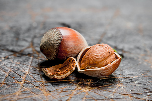 health benefits of hazelnuts