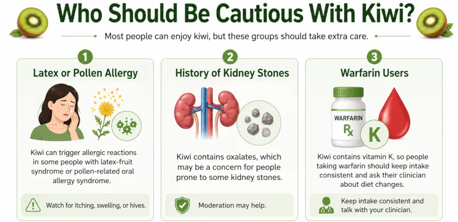 Diagram listing who should be cautious with kiwi: latex or pollen allergy, kidney stones, warfarin users.