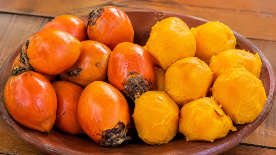 Raw orange peach palm fruit beside peeled boiled peach palm ready to eat.