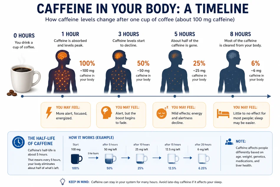 Timeline showing caffeine levels in the body 1, 3, 5, and 8 hours after a cup of coffee.