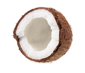 coconut