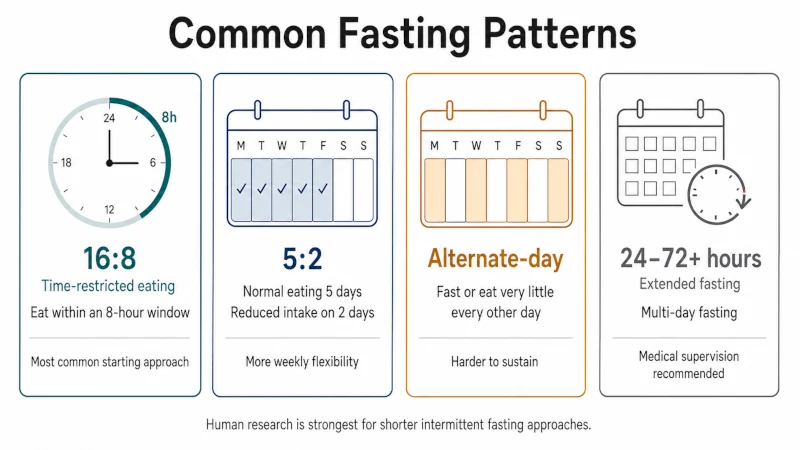 Comparison of 16:8 time-restricted eating, the 5:2 method, alternate-day fasting, and extended fasting with their schedules and key considerations.