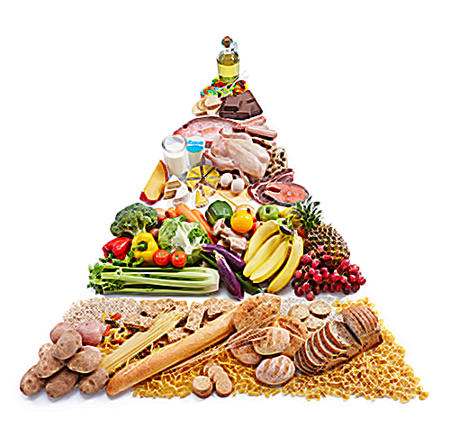 food pyramid