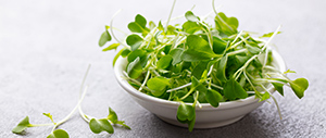 watercress